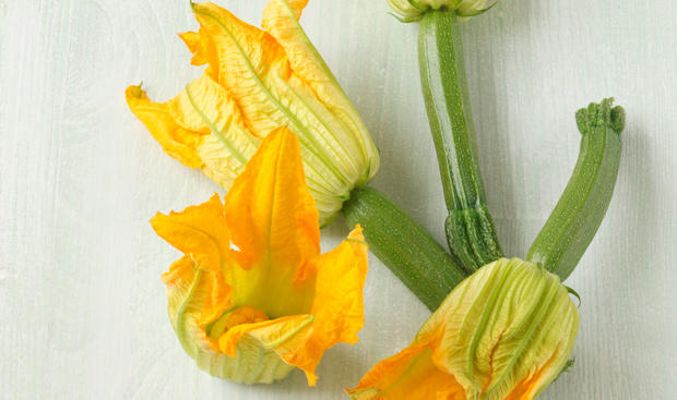 Bild: GUSTO / Schrems Theresa Zucchiniblüten