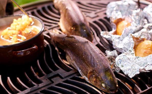 Gegrillte Forelle mit Erdäpfelstampf • Rezept • GUSTO.AT