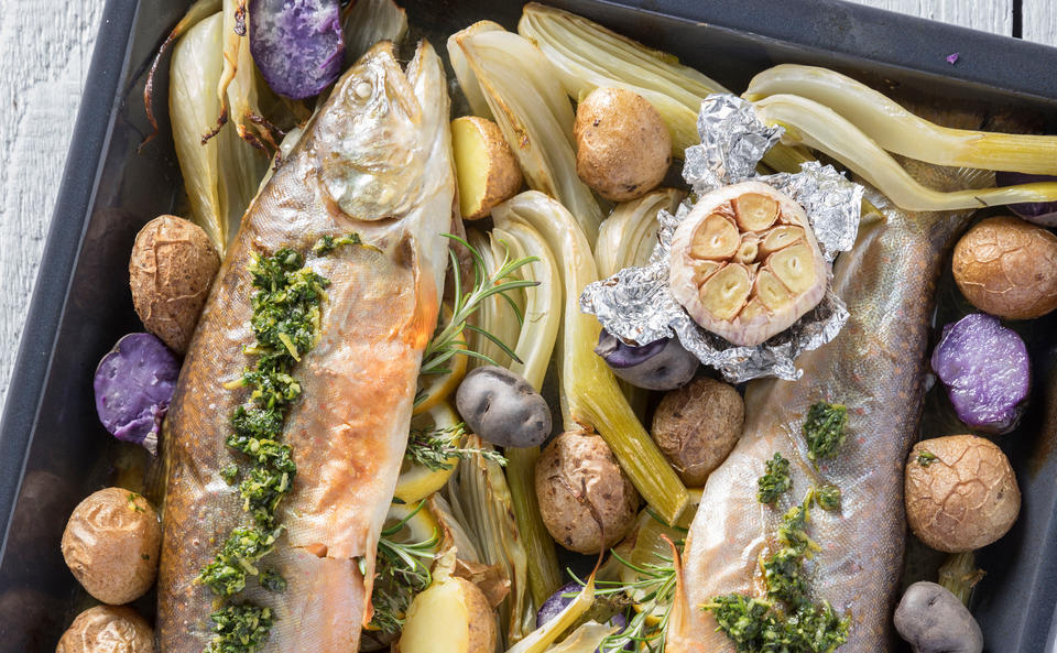 Saibling mit Fenchel und Gremolata