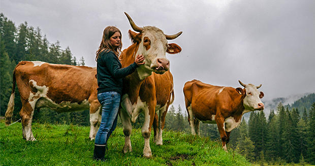 Bild: SalzburgMilch
