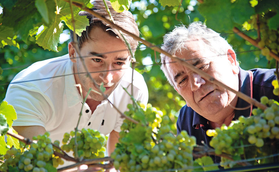 Winzertipp: Weine mit Geschichte