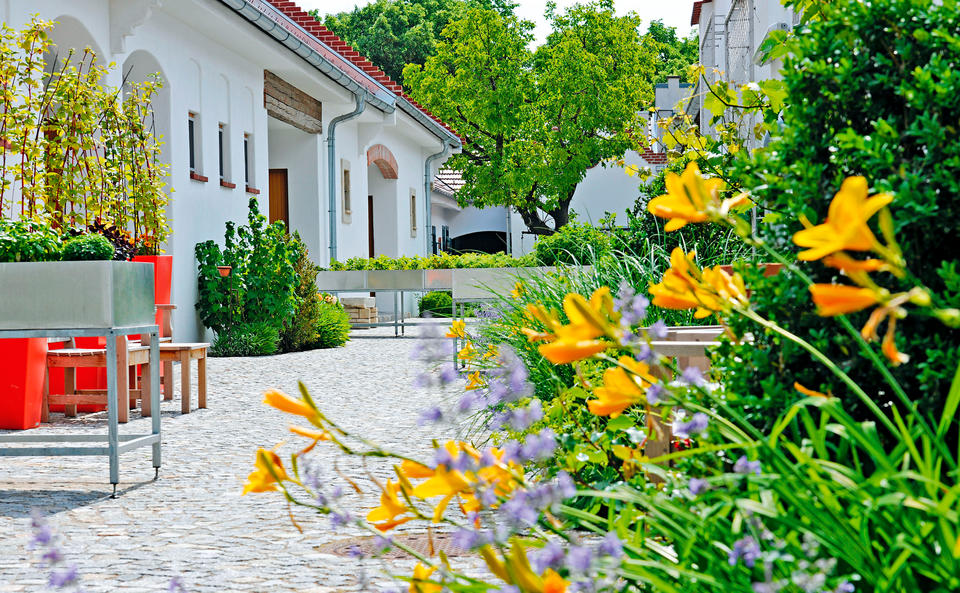 Weinurlaub gewinnen