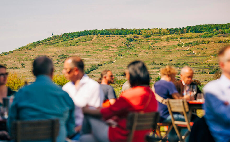 Wein-Tickets gewinnen