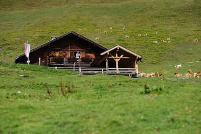 Genuss-Reise nach Tirol