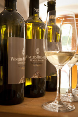 Mustergültige Traminer