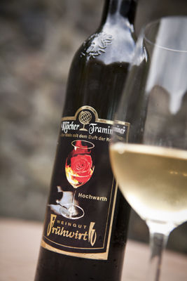 Rose im Glas
