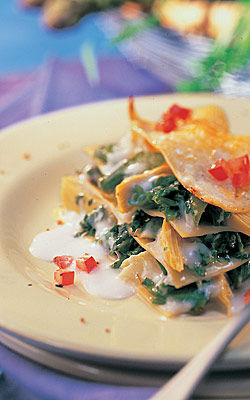 Lasagne mit Gemüse