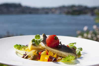 Gourmetküche am Traunsee