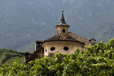 Ein Weingut mit Geschichte