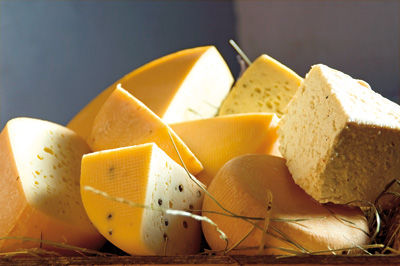 Bio-Käse Vielfalt