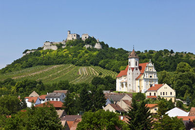 Wein aus Falkenstein