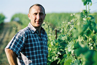 Wein aus Falkenstein