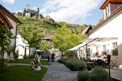 Senftenberg und der Wein