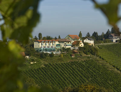 Wein und Wellness