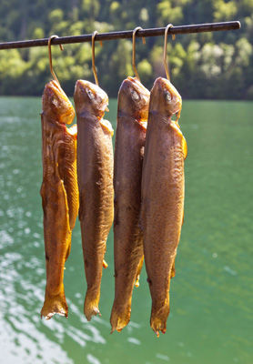 Der Fischer vom Königssee