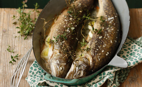 Bild: GUSTO / Theresa Schrems Heimische Fische