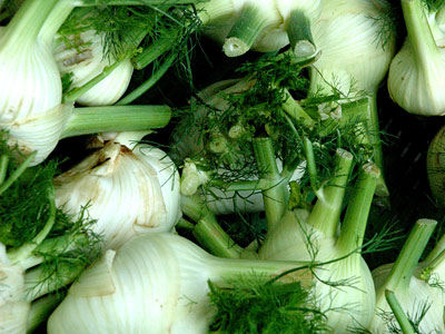 Fenchel-Safransuppe mit Roten Linsen