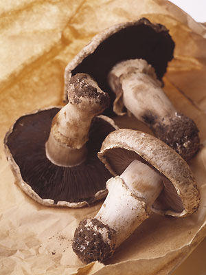 Gegrillte Portobello Champignons mit POM-Senfdressig und Gemüse