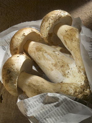 Kalbsschulter-Scherzel mit Steinpilzen