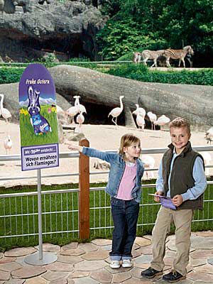 Tierische Suche