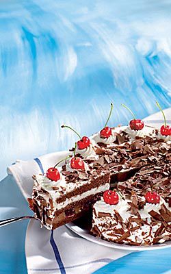 Kakao-Torte Grundrezept