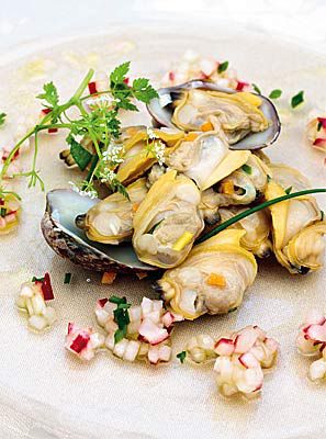 Venusmuscheln mit Radieschen-Vinaigrette