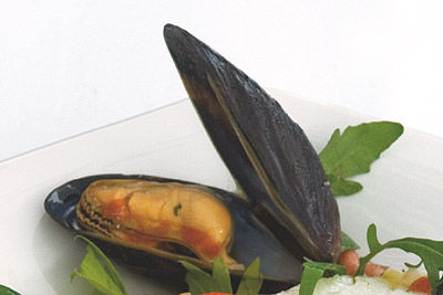 Sylter Fischersalat mit Algen