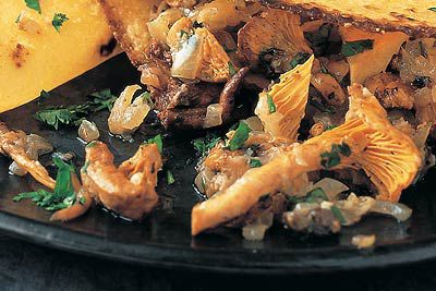 Pilz-Quesadillas