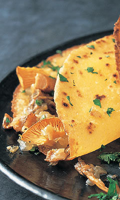 Pilz-Quesadillas