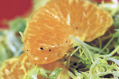 Friséesalat