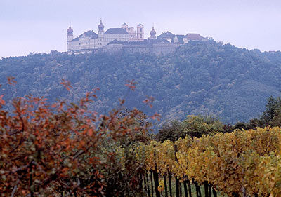Kremstal - Jahrhunderte alte Weinkultur ...