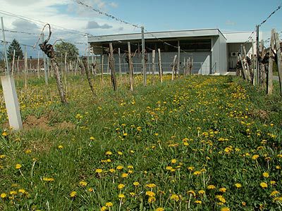 Weingut Krutzler