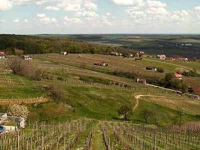 Komm ins Paradies