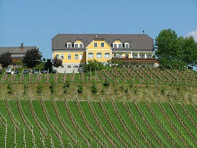 Weingut Helga Brolli