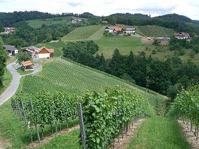 Weingut und Buschenschank Sternat