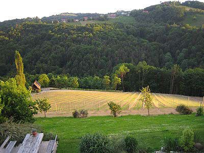 Weingut Buschenschank Schneeberger