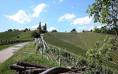 Weingut Walter Skoff