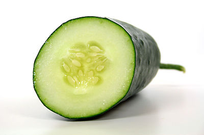Das bringt Frische!