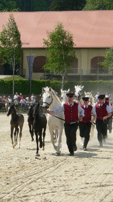 Saisonhöhepunkt