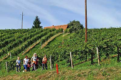 Wein und Kultur