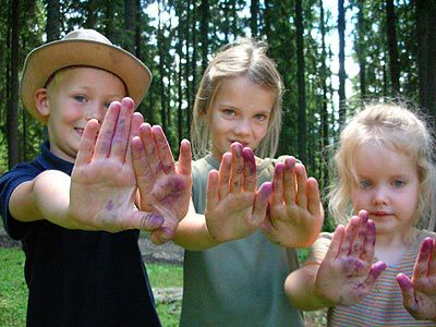 Wald und Wellness