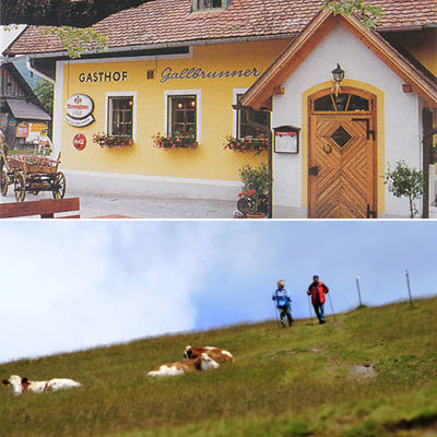 Top five der Steiermark