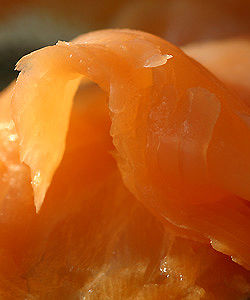 Lachs auf Pilzen und Fenchel