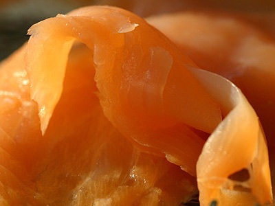 Lachs auf Pilzen und Fenchel