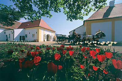 Wein erleben