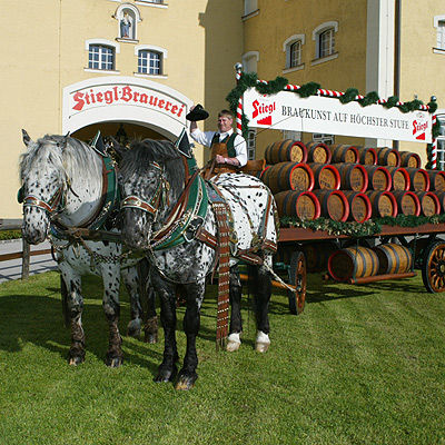 Stiegl Brauwelt