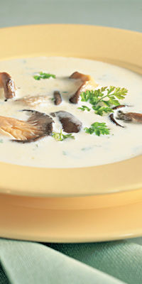 Austernpilzsuppe mit Kräutern
