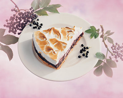 Holler-Schaumtorte