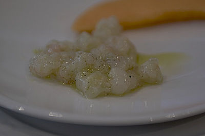 Frische Meerestiere mit Traubendestillat