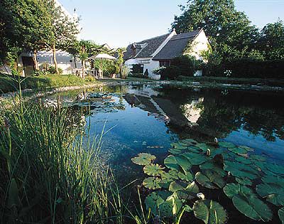 Taubenkobel